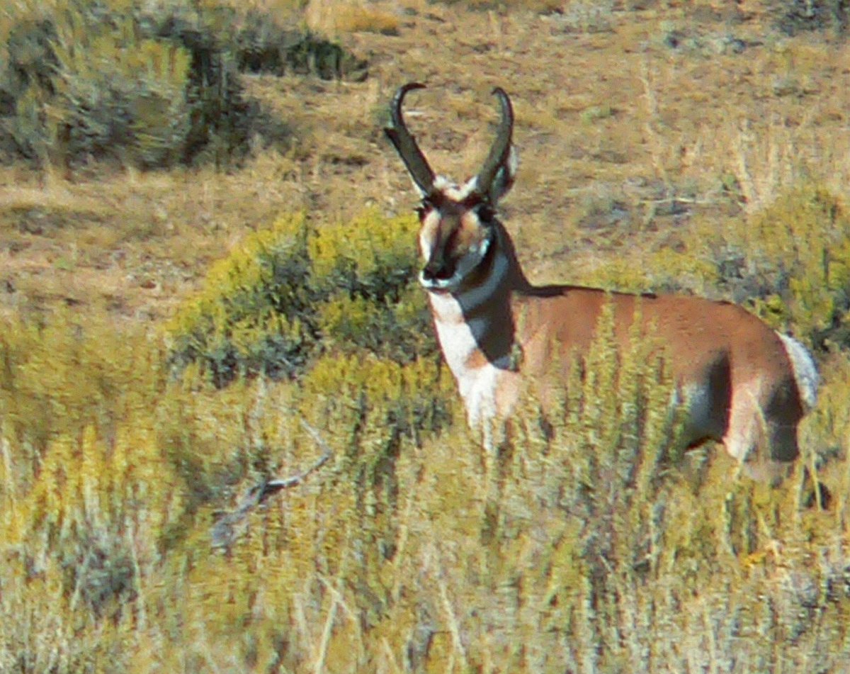 Property photo 14 - 92,312+/- Acres Offered in 14 Tracts
